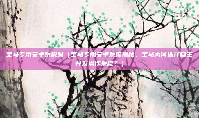 宝马专用安卓系统吗(宝马专用安卓系统揭秘,宝马为何选择自主开发操作系统?)