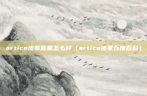 artico皮革质量怎么样(artico皮革百度百科)
