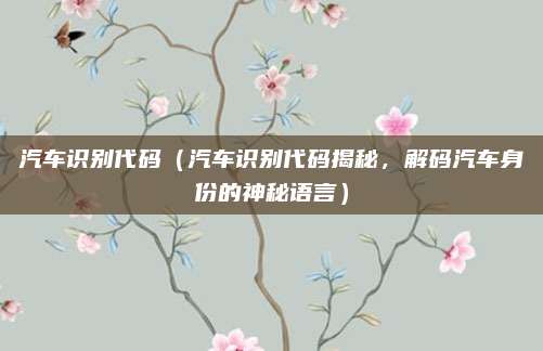 汽车识别代码(汽车识别代码揭秘,解码汽车身份的神秘语言)