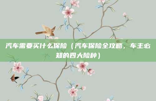 汽车需要买什么保险(汽车保险全攻略,车主必知的四大险种)