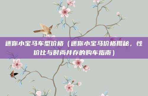 迷你小宝马车型价格(迷你小宝马价格揭秘,性价比与时尚并存的购车指南)