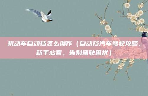 机动车自动挡怎么操作(自动挡汽车驾驶攻略,新手必看,告别驾驶困扰)