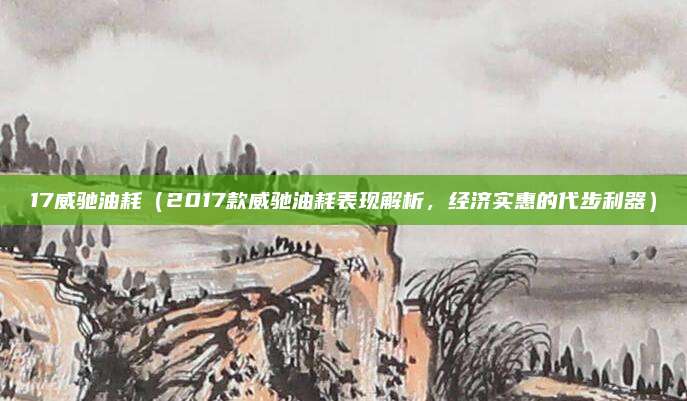 17威驰油耗（2017款威驰油耗表现解析，经济实惠的代步利器）