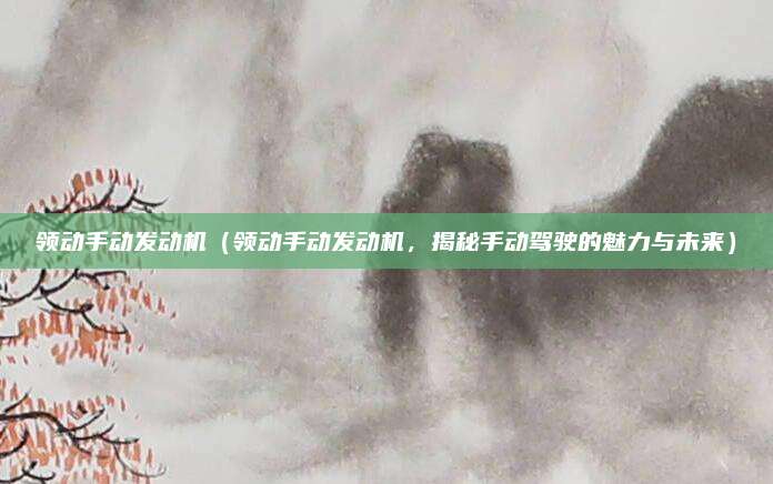 领动手动发动机（领动手动发动机，揭秘手动驾驶的魅力与未来）