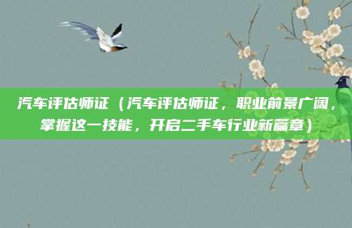 汽车评估师证(汽车评估师证,职业前景广阔,掌握这一技能,开启二手车行业新篇章)