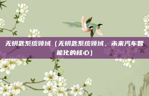 无钥匙系统领域(无钥匙系统领域,未来汽车智能化的核心)
