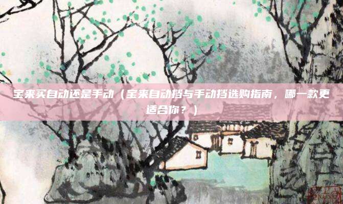 宝来买自动还是手动(宝来自动挡与手动挡选购指南,哪一款更适合你?)