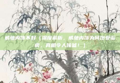 威驰内饰不好（深度解析，威驰内饰为何饱受诟病，真相令人唏嘘！）