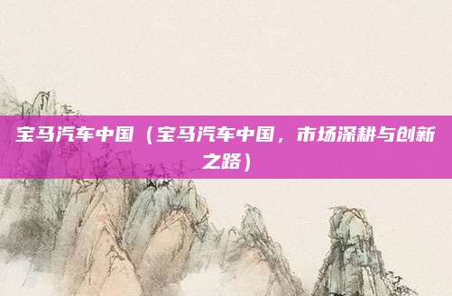 宝马汽车中国(宝马汽车中国,市场深耕与创新之路)