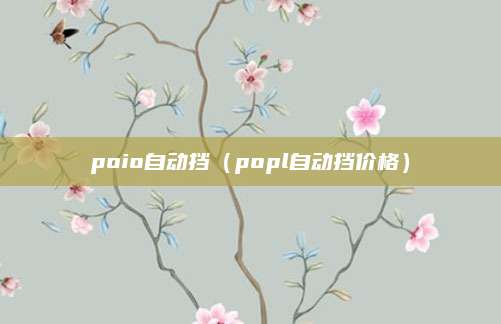 poio自动挡(popl自动挡价格)