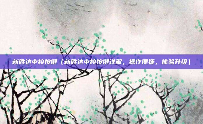 新胜达中控按键（新胜达中控按键详解，操作便捷，体验升级）