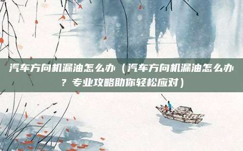 汽车方向机漏油怎么办（汽车方向机漏油怎么办？专业攻略助你轻松应对）