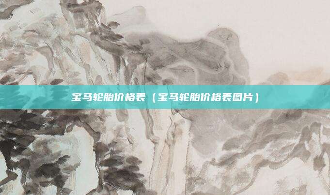 宝马轮胎价格表(宝马轮胎价格表图片)