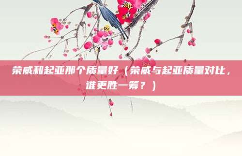 荣威和起亚那个质量好(荣威与起亚质量对比,谁更胜一筹?)