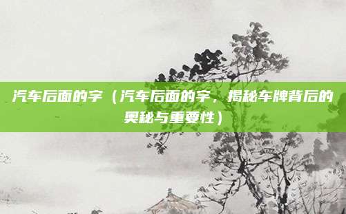 汽车后面的字(汽车后面的字,揭秘车牌背后的奥秘与重要性)