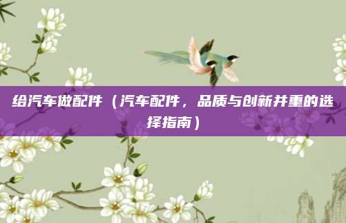 给汽车做配件(汽车配件,品质与创新并重的选择指南)