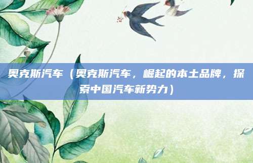 奥克斯汽车(奥克斯汽车,崛起的本土品牌,探索中国汽车新势力)