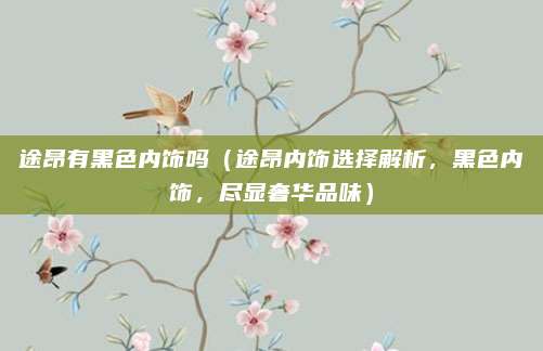 途昂有黑色内饰吗(途昂内饰选择解析,黑色内饰,尽显奢华品味)