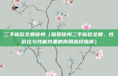 二手新款全顺徐州（探索徐州二手新款全顺，性价比与性能并重的商用选择指南）