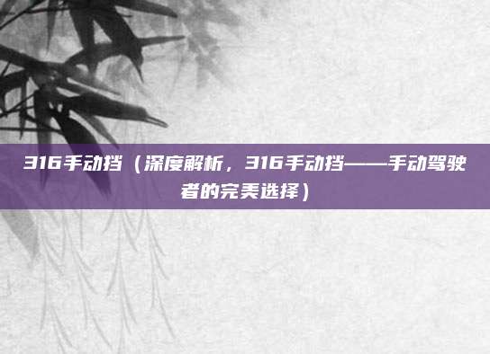316手动挡(深度解析,316手动挡——手动驾驶者的完美选择)
