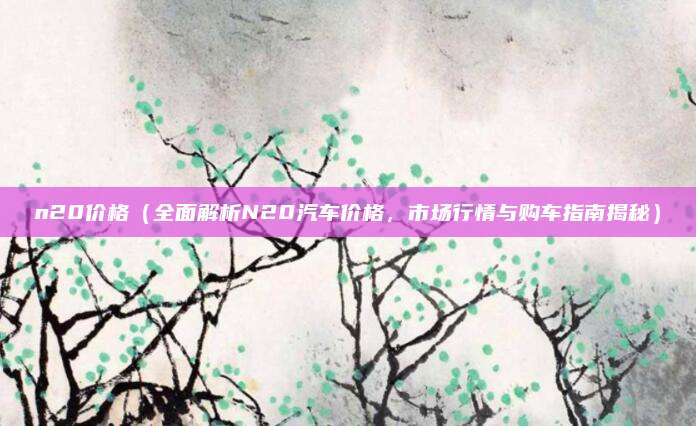 n20价格（全面解析N20汽车价格，市场行情与购车指南揭秘）