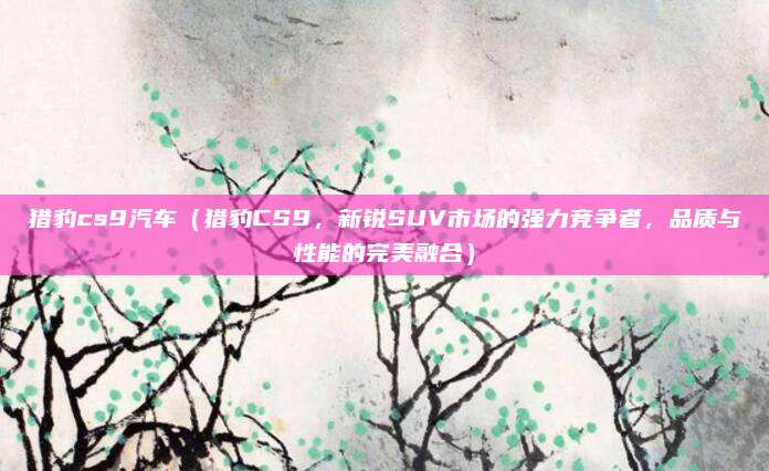 猎豹cs9汽车(猎豹CS9,新锐SUV市场的强力竞争者,品质与性能的完美融合)