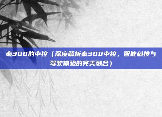 秦300的中控(深度解析秦300中控,智能科技与驾驶体验的完美融合)