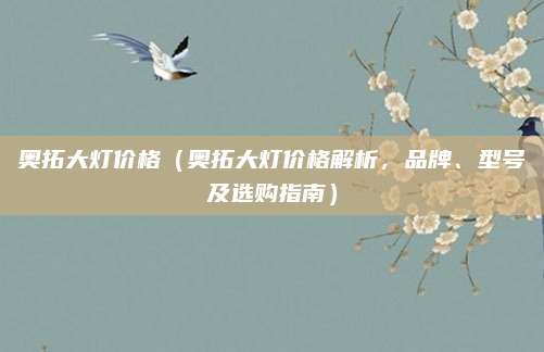 奥拓大灯价格(奥拓大灯价格解析,品牌、型号及选购指南)