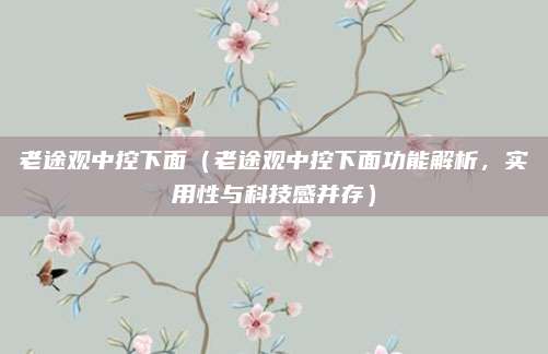 老途观中控下面（老途观中控下面功能解析，实用性与科技感并存）