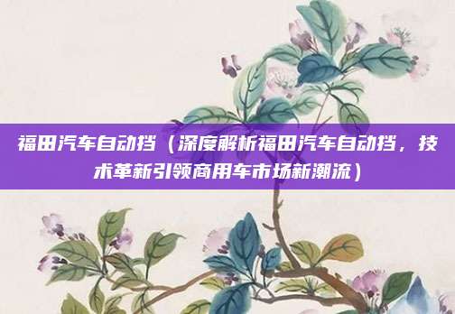福田汽车自动挡(深度解析福田汽车自动挡,技术革新引领商用车市场新潮流)
