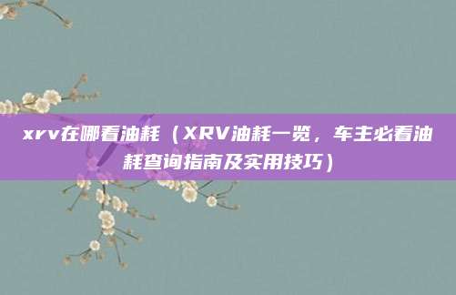 xrv在哪看油耗(XRV油耗一览,车主必看油耗查询指南及实用技巧)