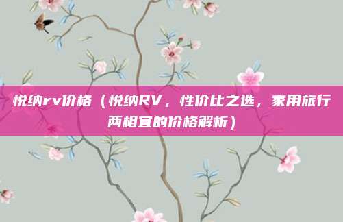 悦纳rv价格(悦纳RV,性价比之选,家用旅行两相宜的价格解析)
