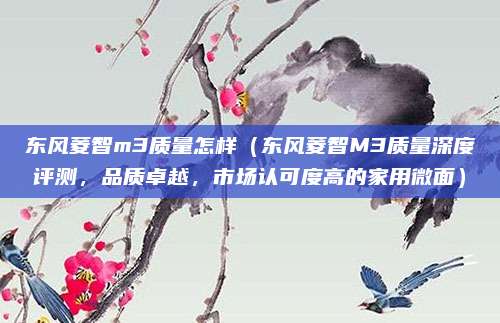东风菱智m3质量怎样(东风菱智M3质量深度评测,品质卓越,市场认可度高的家用微面)