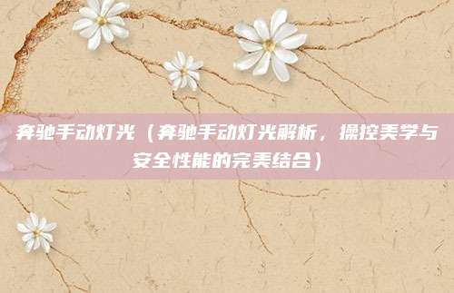 奔驰手动灯光(奔驰手动灯光解析,操控美学与安全性能的完美结合)
