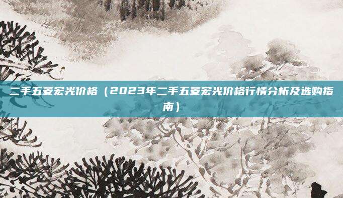 二手五菱宏光价格（2023年二手五菱宏光价格行情分析及选购指南）