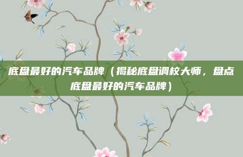 底盘最好的汽车品牌(揭秘底盘调校大师,盘点底盘最好的汽车品牌)
