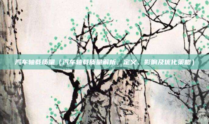 汽车轴载质量（汽车轴载质量解析，定义、影响及优化策略）