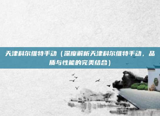 天津科尔维特手动(深度解析天津科尔维特手动,品质与性能的完美结合)