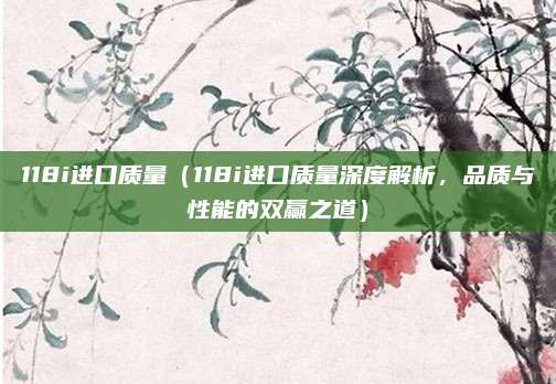 118i进口质量(118i进口质量深度解析,品质与性能的双赢之道)