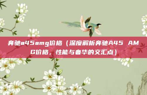 奔驰a45amg价格(深度解析奔驰A45 AMG价格,性能与奢华的交汇点)