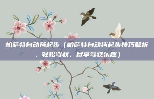 帕萨特自动挡起步(帕萨特自动挡起步技巧解析,轻松驾驭,尽享驾驶乐趣)
