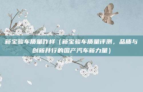 新宝骏车质量咋样(新宝骏车质量评测,品质与创新并行的国产汽车新力量)