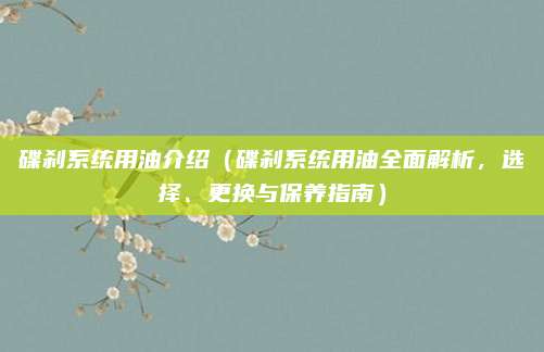 碟刹系统用油介绍(碟刹系统用油全面解析,选择、更换与保养指南)
