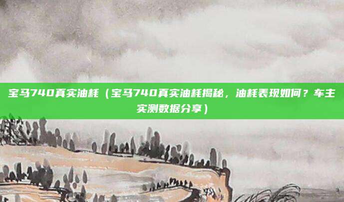 宝马740真实油耗(宝马740真实油耗揭秘,油耗表现如何?车主实测数据分享)