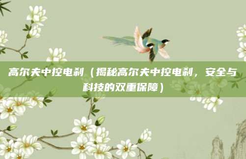 高尔夫中控电刹(揭秘高尔夫中控电刹,安全与科技的双重保障)