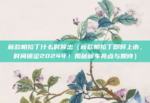 新款帕拉丁什么时候出（新款帕拉丁即将上市，时间锁定2024年！揭秘新车亮点与期待）