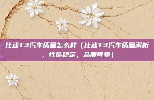 比速T3汽车质量怎么样(比速T3汽车质量解析,性能稳定,品质可靠)