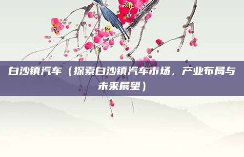 白沙镇汽车(探索白沙镇汽车市场,产业布局与未来展望)