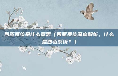 四驱系统是什么意思(四驱系统深度解析,什么是四驱系统?)