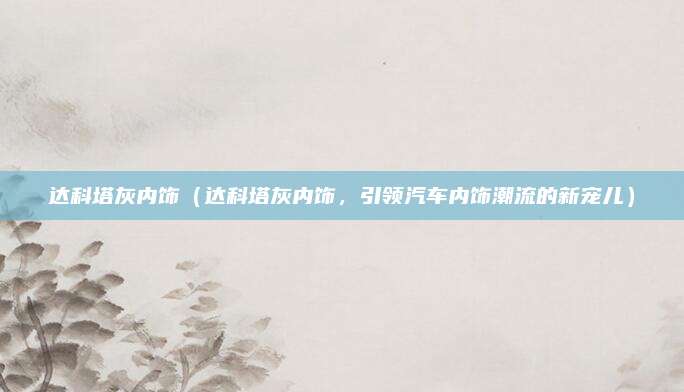 达科塔灰内饰(达科塔灰内饰,引领汽车内饰潮流的新宠儿)